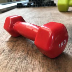 1kg vinyl dumbbell