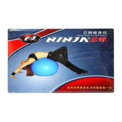 Ninja Gym Ball - Blue