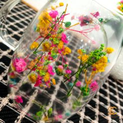 Everlasting Flower or Strawflower 2